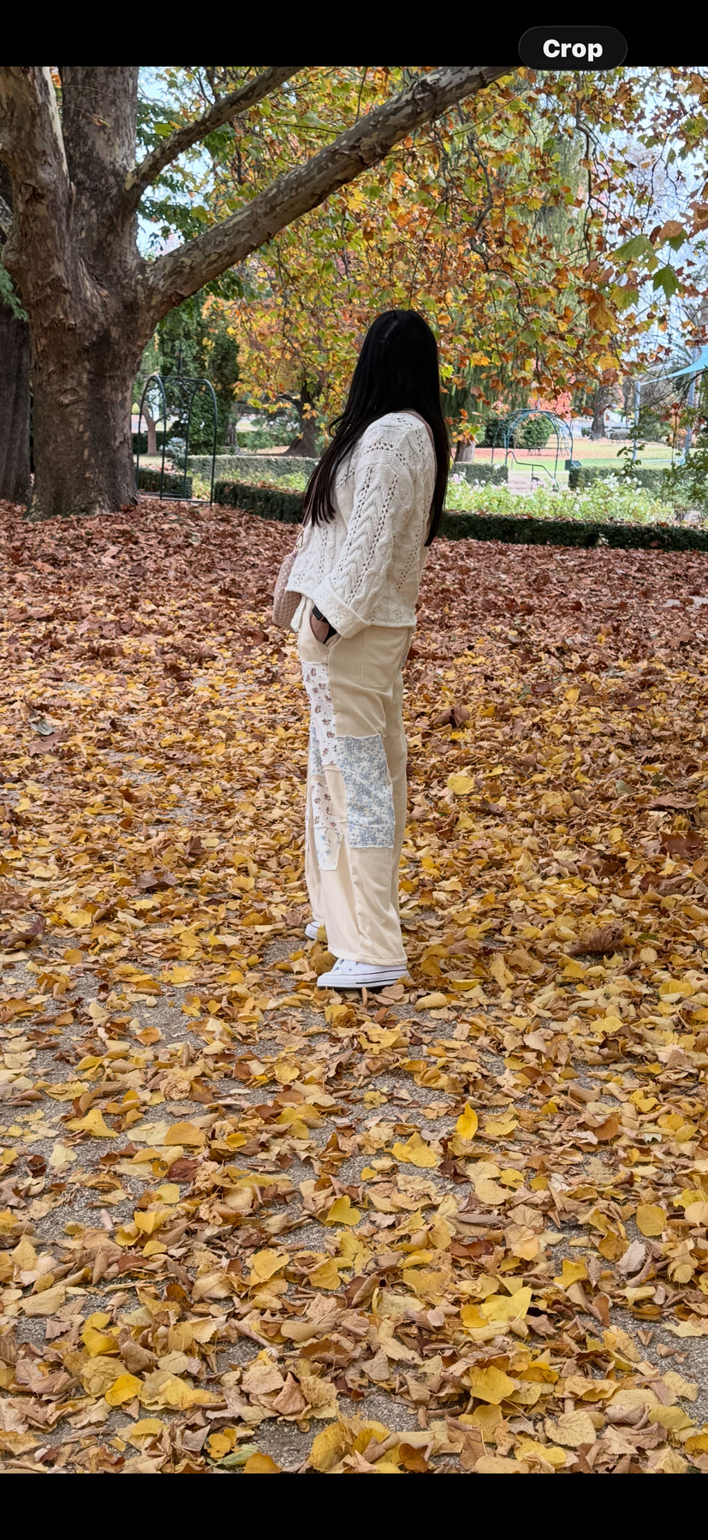 Meadow Muse