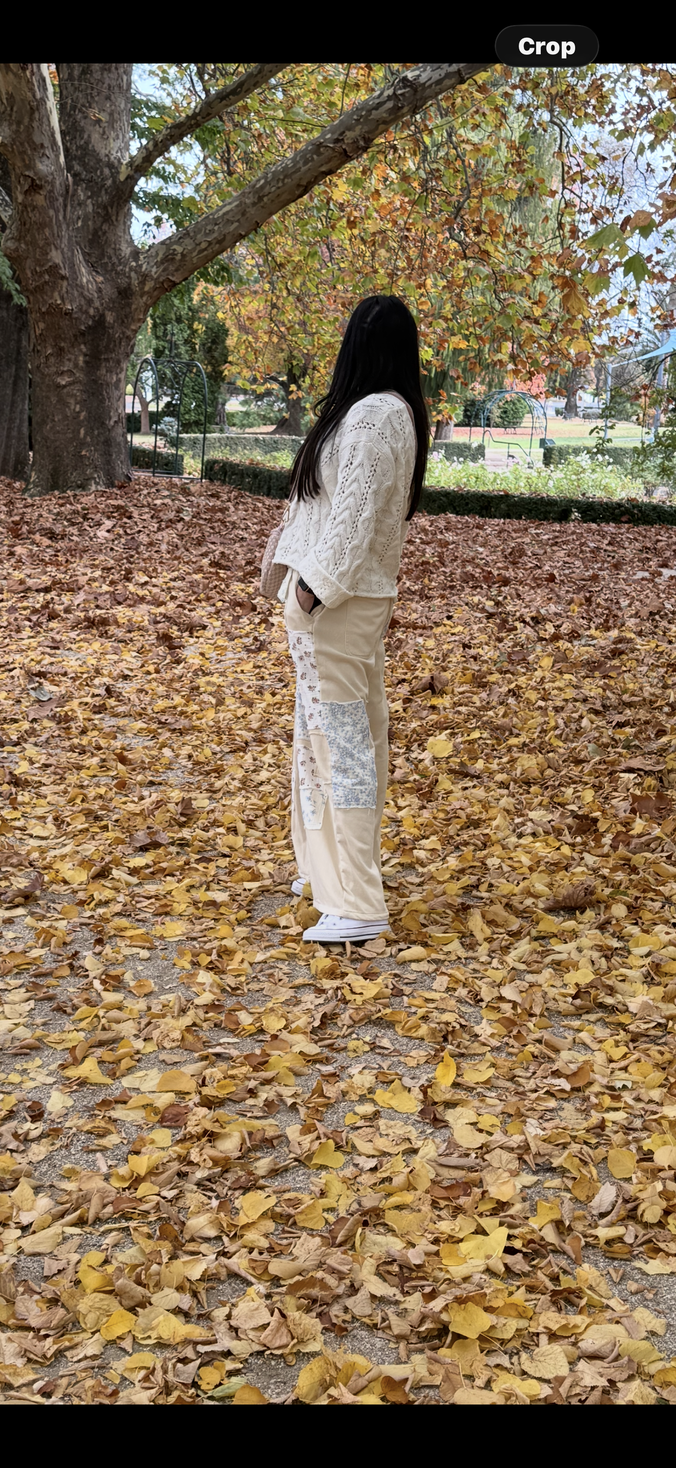 Meadow Muse