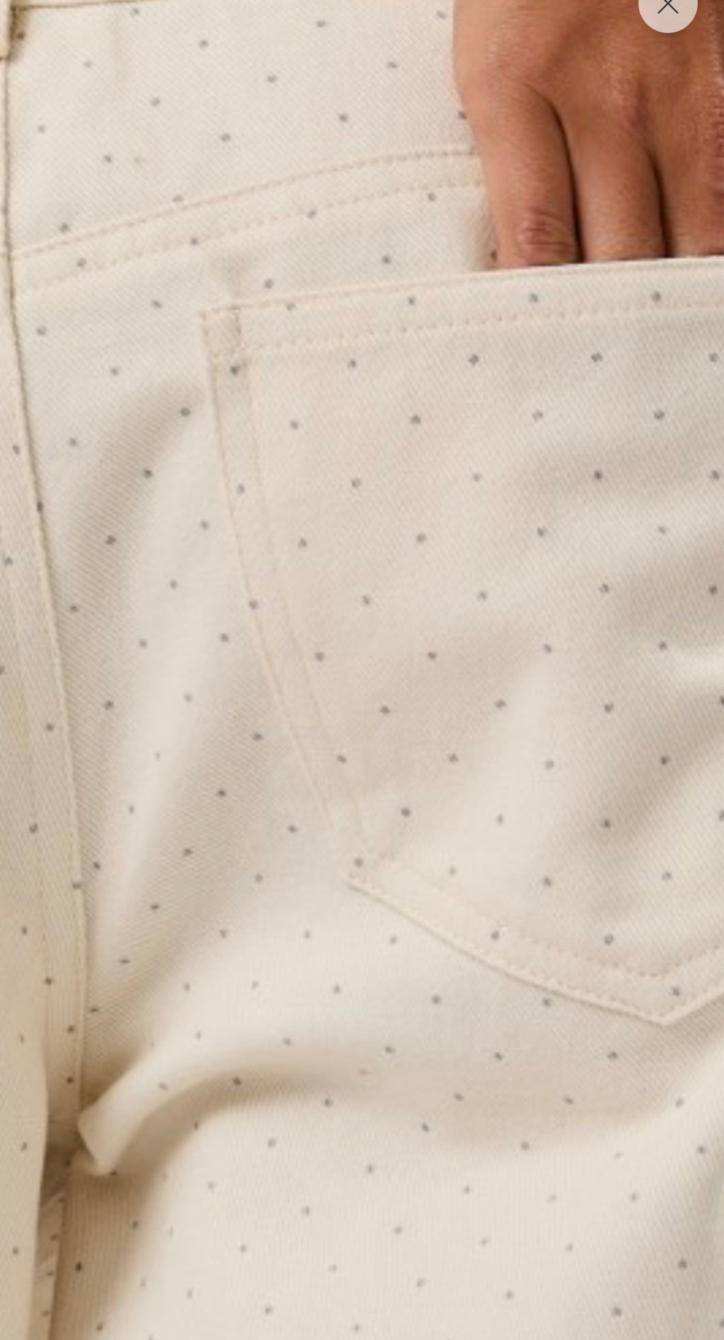Champagne Starlight Jeans